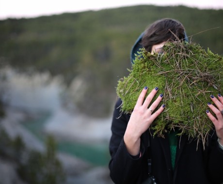 Moss Voltaics